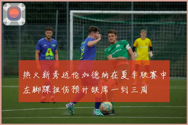 热火新秀迈伦加德纳在夏季联赛中左脚踝扭伤预计缺席一到三周