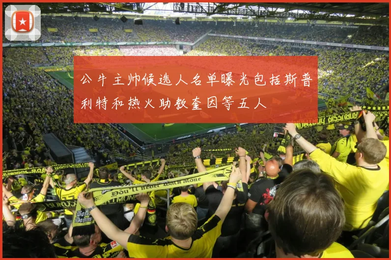 公牛主帅候选人名单曝光包括斯普利特和热火助教奎因等五人